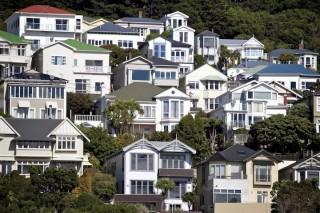 Wellington Market Strong and with Opportunities