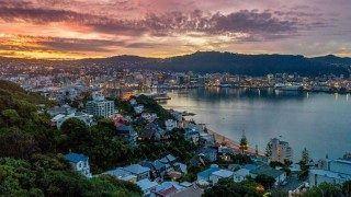 Wellington Market Update - August 2019