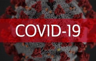 Resources and information links regarding the Covid-19 crisis and lockdown